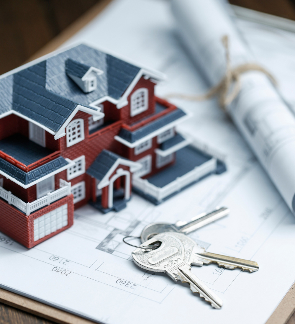 About Allied Assets Limited
